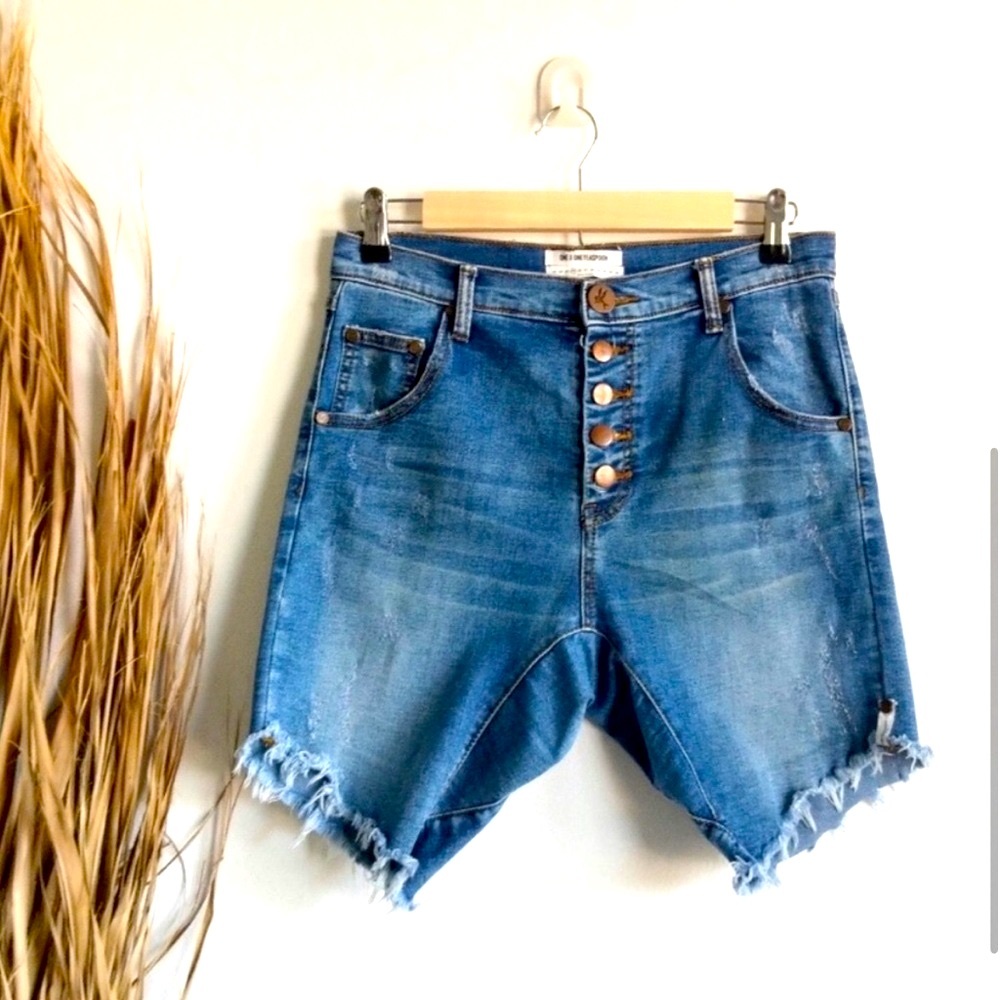 One teaspoon Apollo shorts